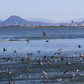 2141-2.jpg
