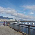 2144-1.jpg