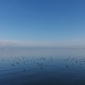 2146-1.jpg