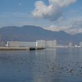 2146-3.jpg