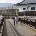 2147-3.jpg
