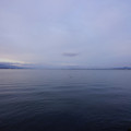 2148-1.jpg