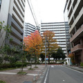 2148-2.jpg