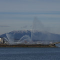 2153-1.jpg