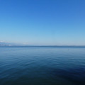 2157-1.jpg