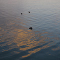 2157-3.jpg
