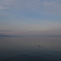 2158-3.jpg