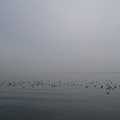 2159-2.jpg