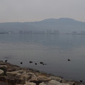 2159-3.jpg