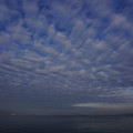 2162-1.jpg