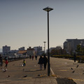 2162-3.jpg