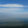 2198-1.jpg