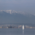 2198-2.jpg