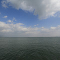2199-1.jpg
