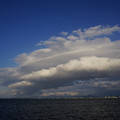 2199-3.jpg