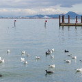 2205-3.jpg