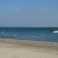 2218-2.jpg