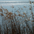 2218-3.jpg