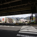 2259-2.jpg