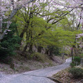 2259-3.jpg