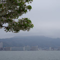2261-3.jpg