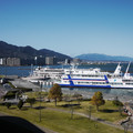 2262-2.jpg