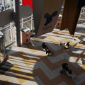 2262-3.jpg