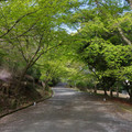 2263-2.jpg