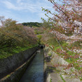 2263-3.jpg