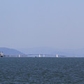 2264-1.jpg