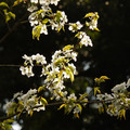 2265-3.jpg