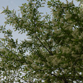 2266-2.jpg
