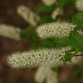 2266-3.jpg