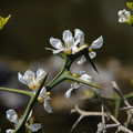 2267-2.jpg