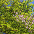 2268-2.jpg