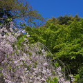 2268-3.jpg