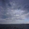 2269-1.jpg