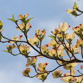 2269-3.jpg