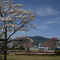2272-3.jpg