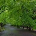 2274-1.jpg
