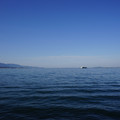 2279-1.jpg