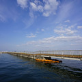 2281-3.jpg