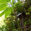 2282-2.jpg