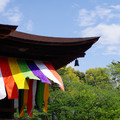2283-2.jpg