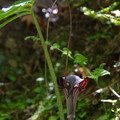 2284-3.jpg