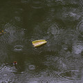 2285-3.jpg