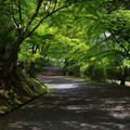 2287-3.jpg