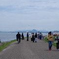 2324-2.jpg