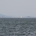 2325-1.jpg