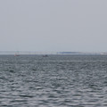2325-2.jpg